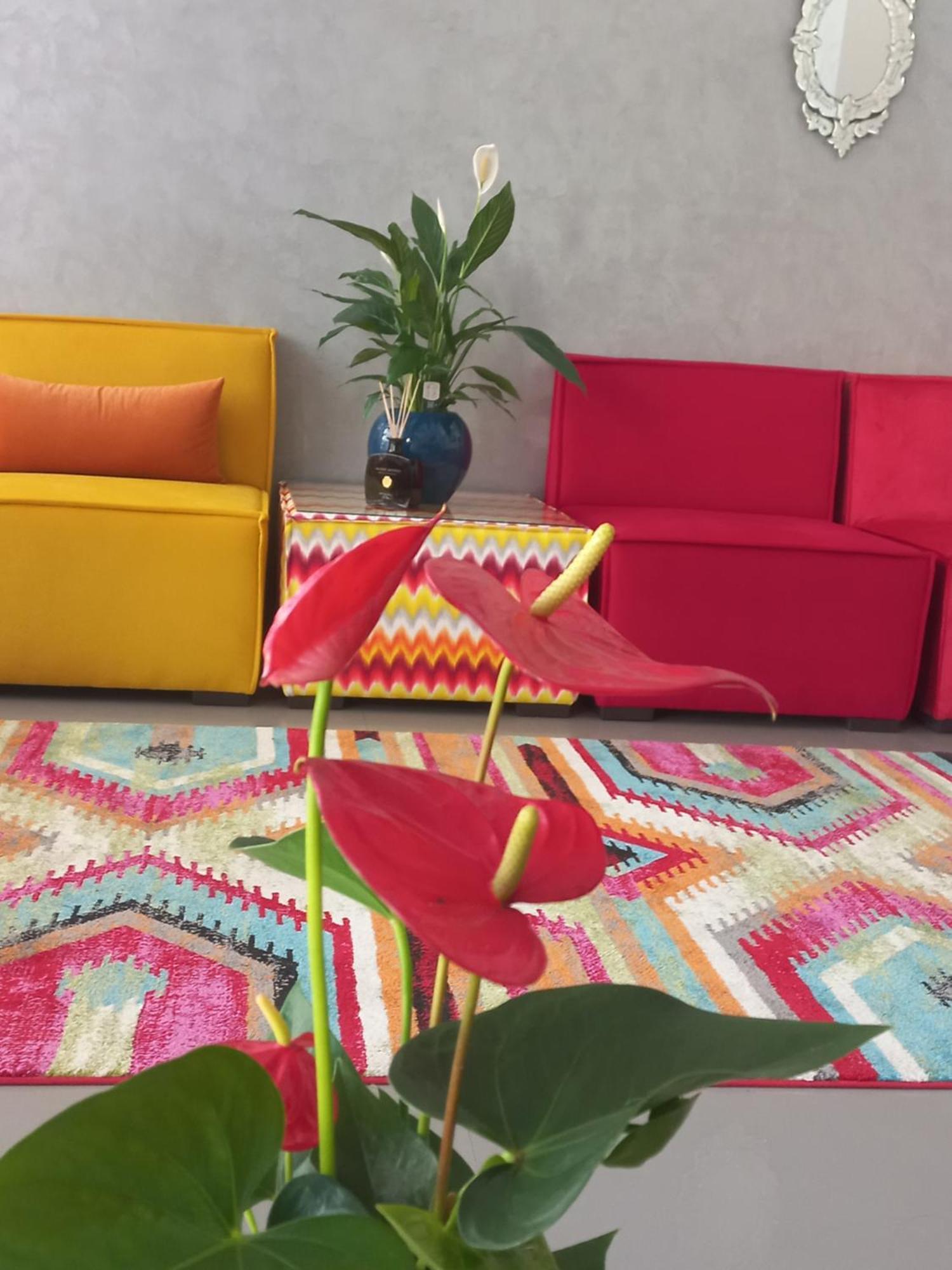 Hotel Swani مكناز المظهر الخارجي الصورة